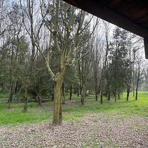 Woods Appartement Vérone